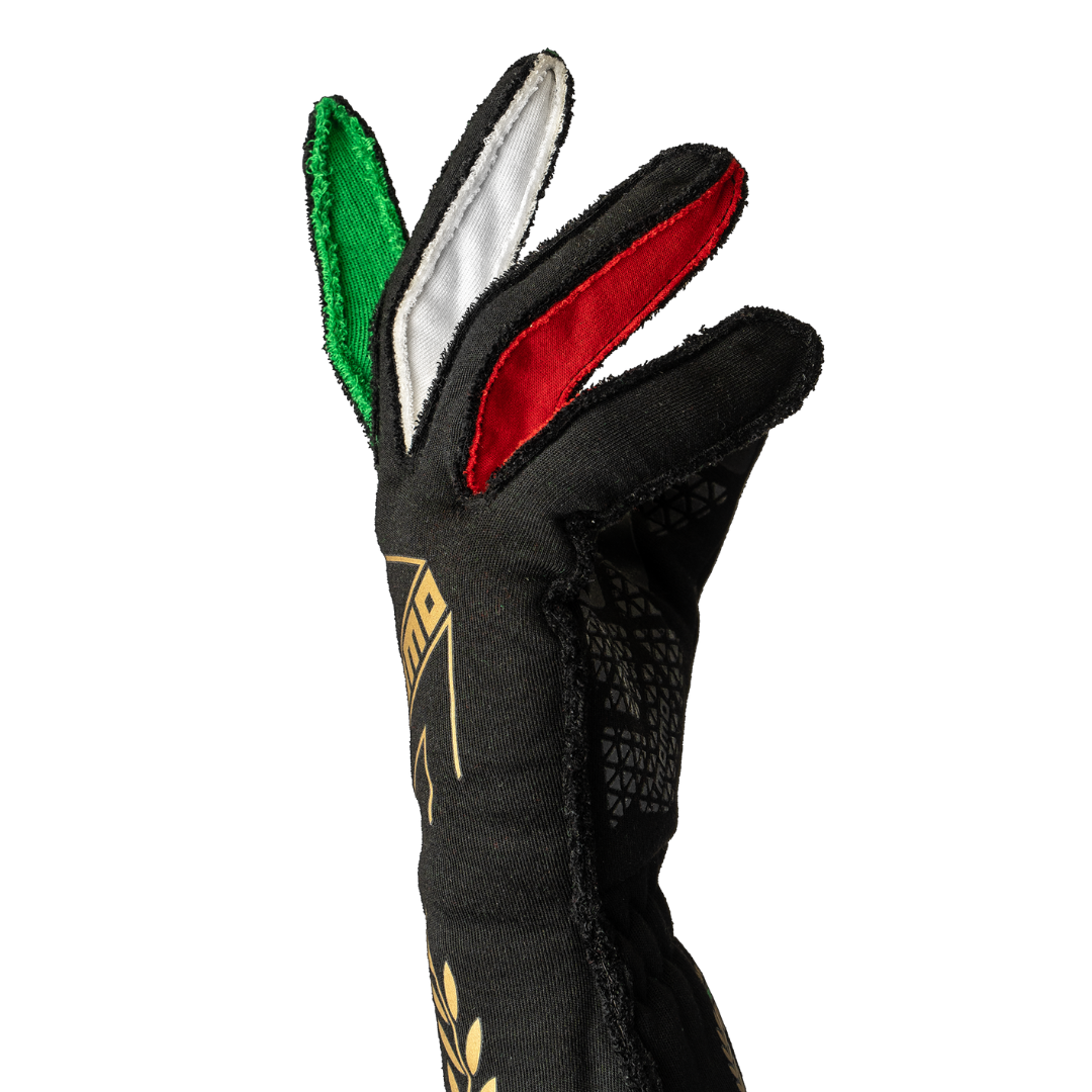 MOMO CORSA PRO ANNIVERSARIO GLOVES